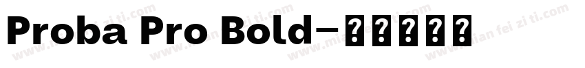 Proba Pro Bold字体转换